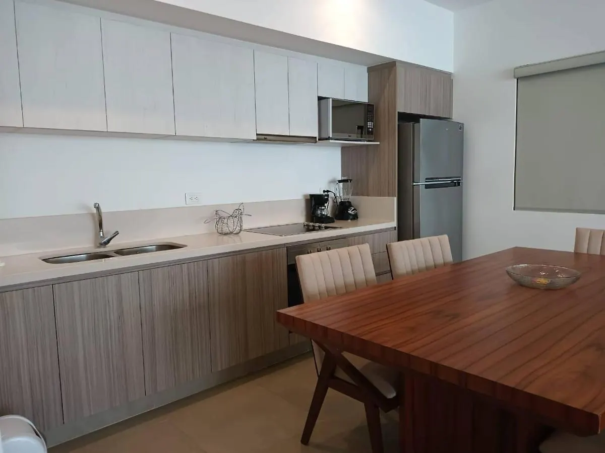 One Bedroom, Great Location Steps From The Beachh, Beautiful Roof Top View Playa del Carmen Apartment